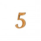 APLIQUE NÚMERO 5- SCRIPT (P)